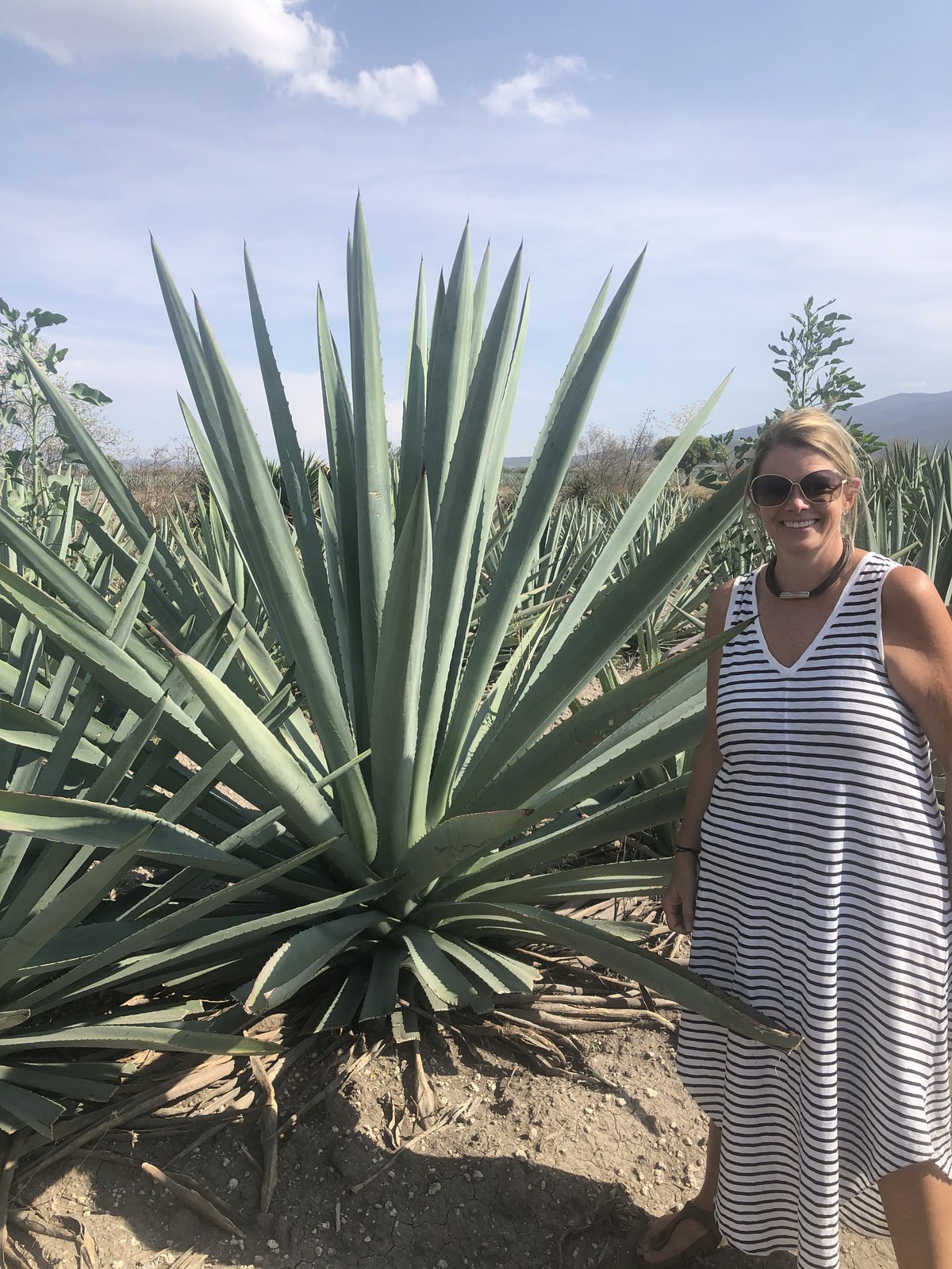 Standing beside a towering agave plant